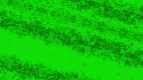 Videohive - Dark abstract background with flowing green liquid - 41983444 - 41983444