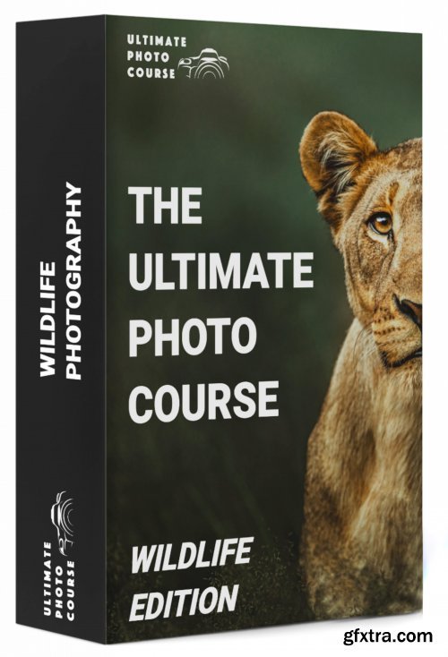 The Ultimate Wildlife Photography Bundle
