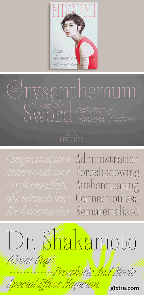 Megumi Font Family Megumi Font Family