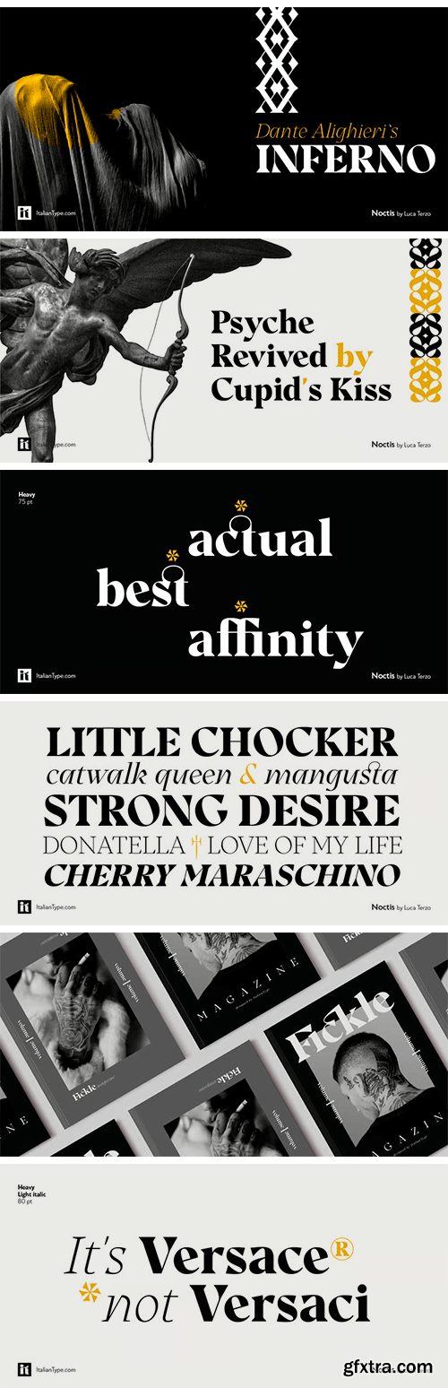 Noctis Font Family Noctis Font Family