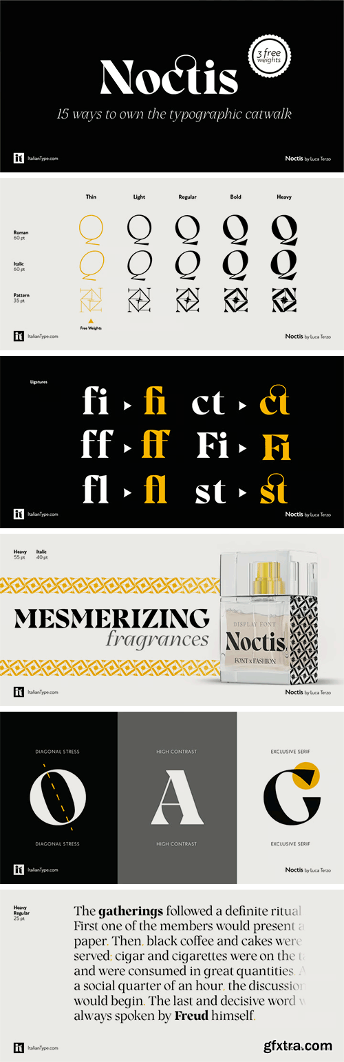 Noctis Font Family Noctis Font Family
