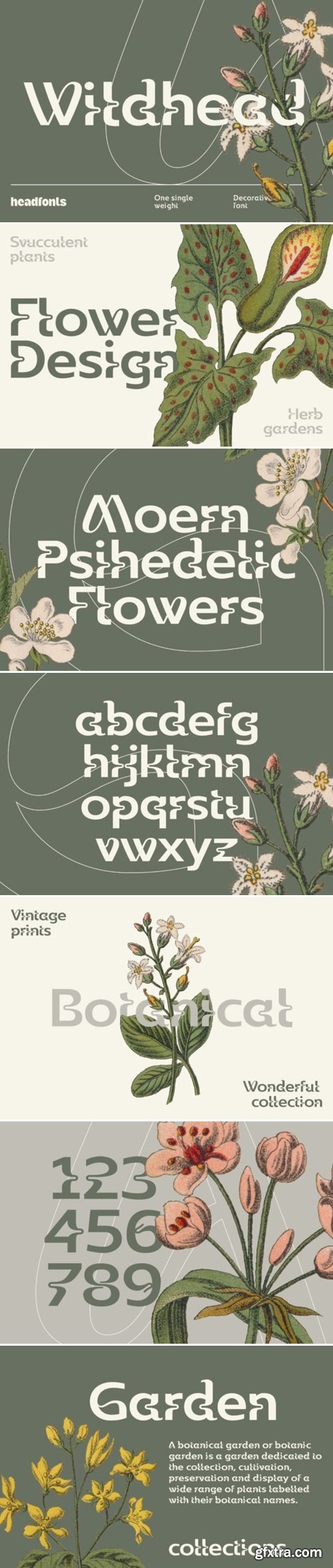 Wildhead Font