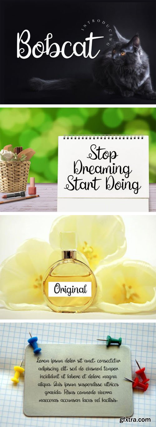 Bobcat - Elegant Script Font Bobcat - Elegant Script Font