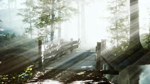 Videohive - Suspended Wooden Bridge Crossing the River to Foggy Mysterious Forest - 42558682 - 42558682