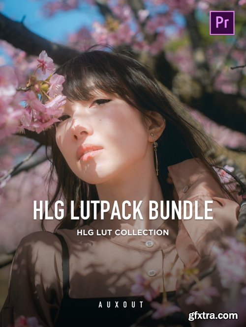 Auxout - HLG LUTPack Bundle