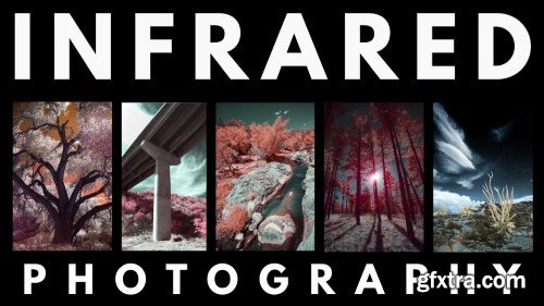 Infrared Photography: Understanding, Capturing, and Editing