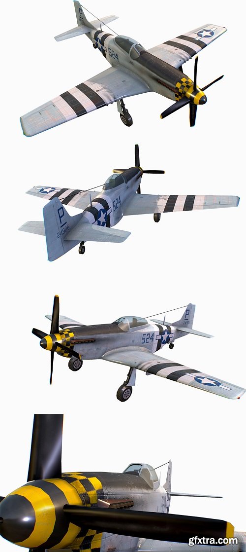 United States American fighter Mustang P-51D-5
