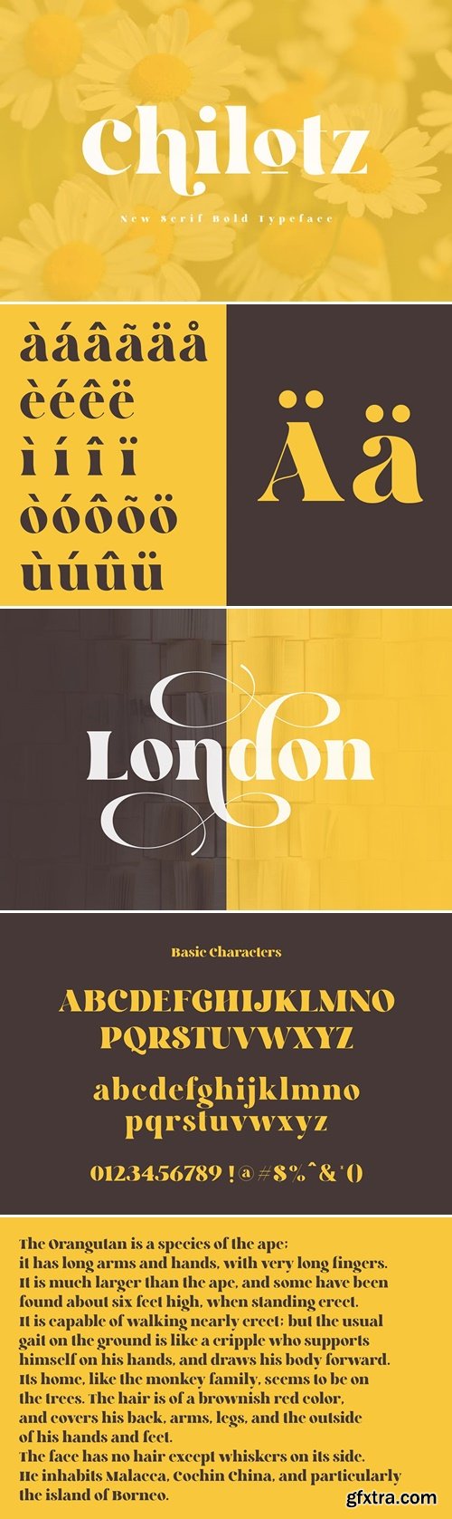 Chilotz | Serif Bold Typeface