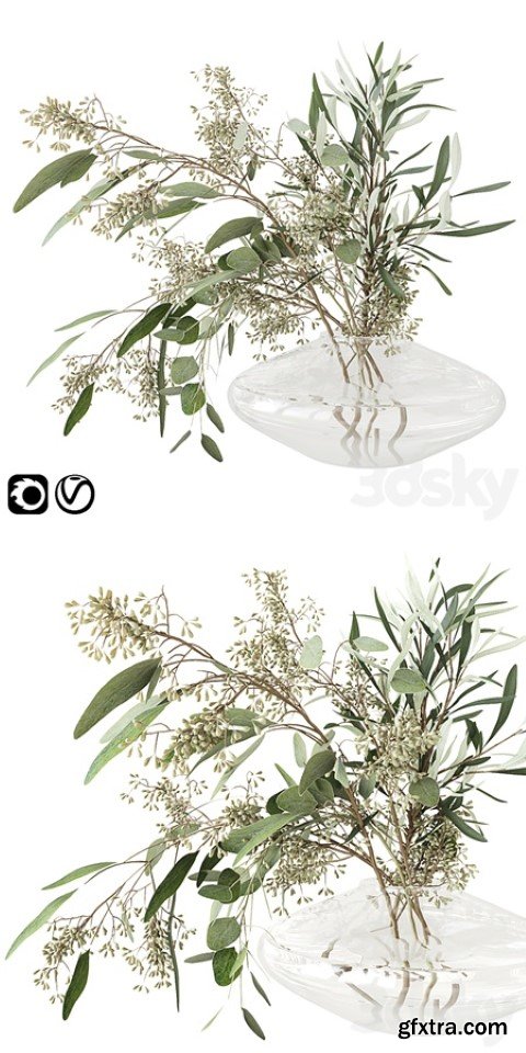 Eucalyptus bouquet