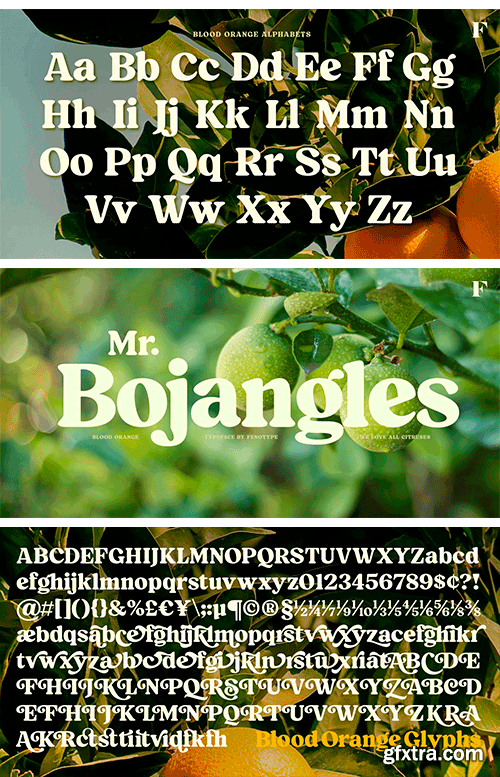 Blood Orange Font Blood Orange Font