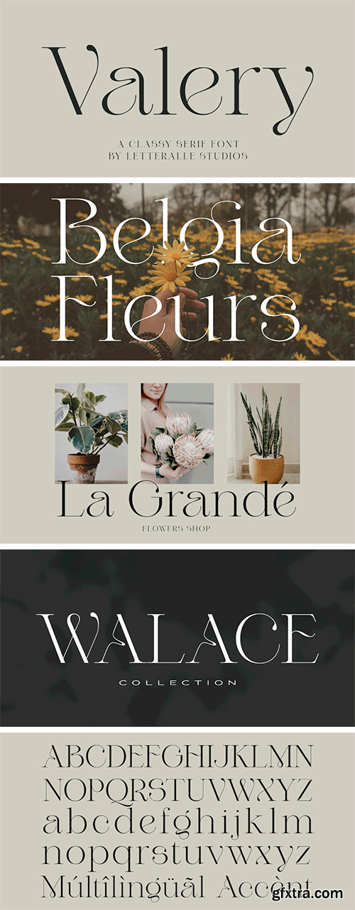 Valery Font Valery Font