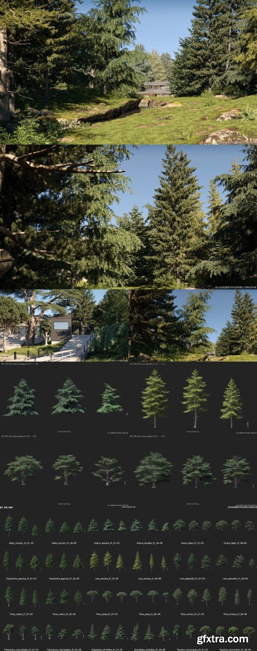 Maxtree – Plant Models Vol 67 Maxtree – Plant Models Vol 67