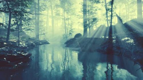 Videohive - Dark Pond in Mysterious Forest - 43022084 - 43022084