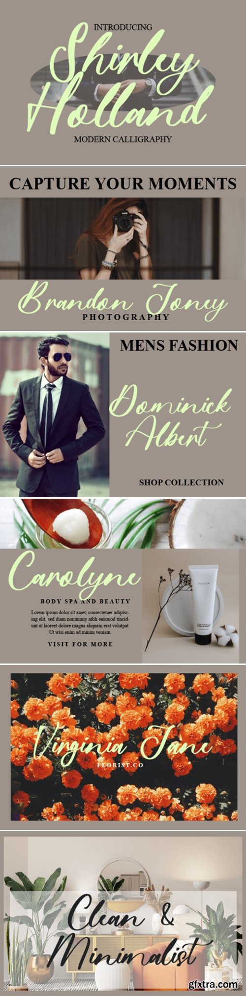 Shirley Holland Font