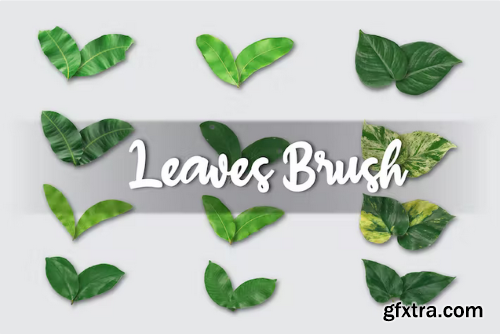 Realistic Leaves Brush for Illustrator