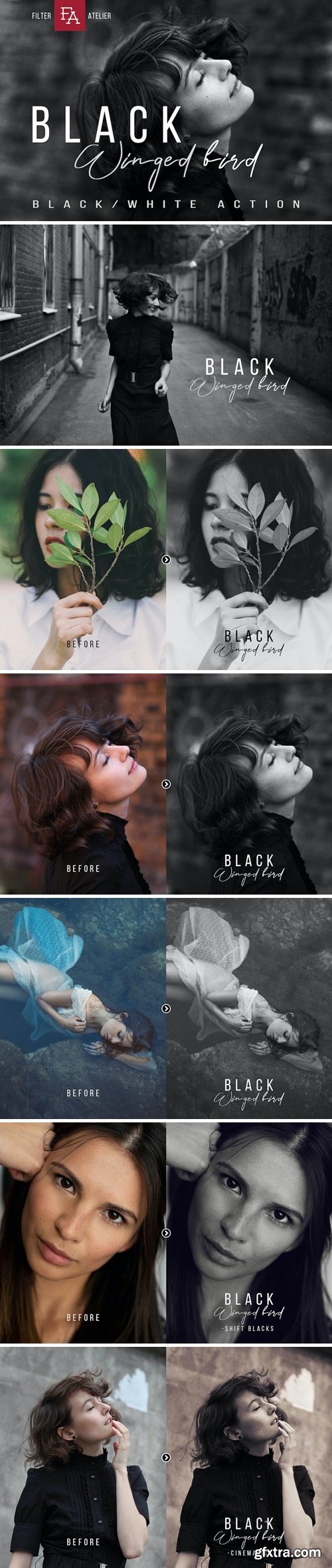 Black Winged Bird - Black & White Photoshop Action G574J4X