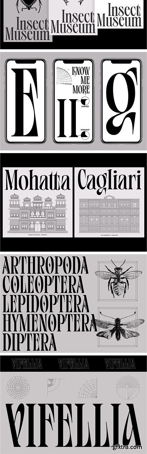 Vifellia Font Vifellia Font