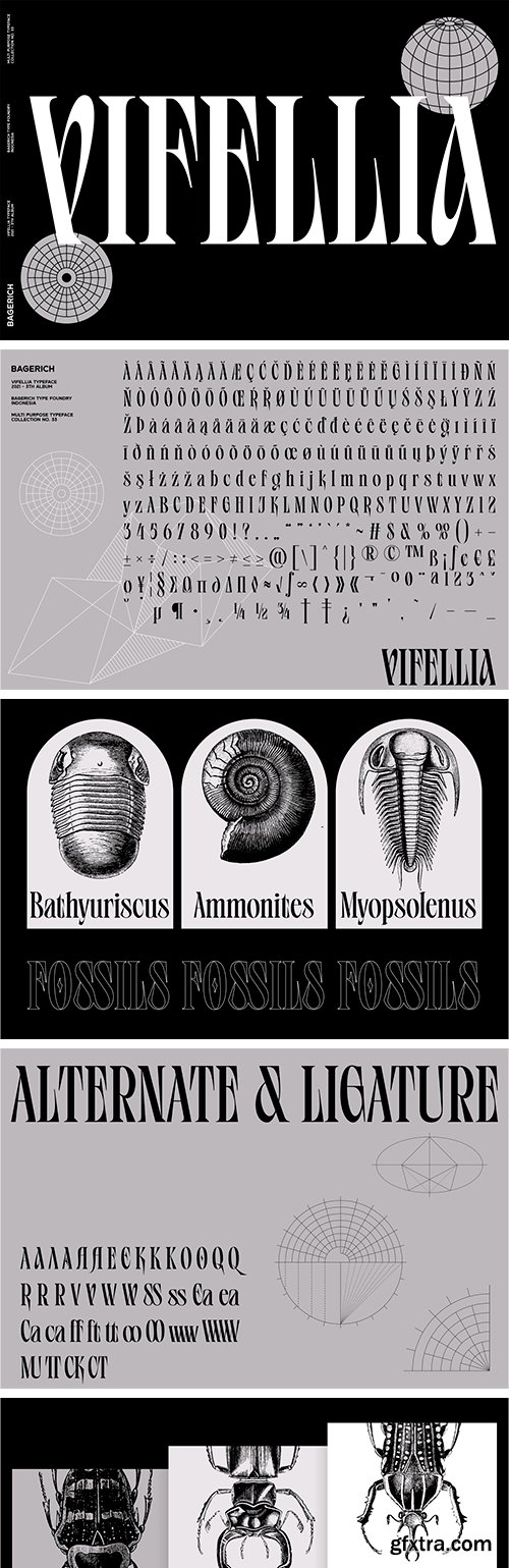 Vifellia Font Vifellia Font