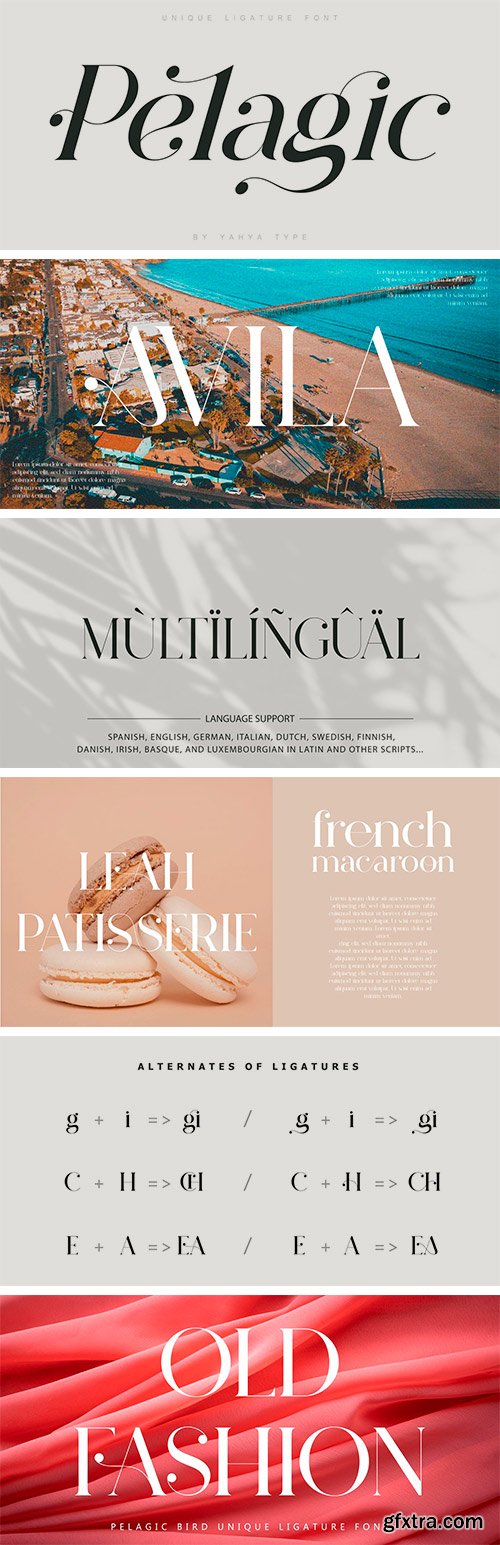 Pelagic Bird Font Family Pelagic Bird Font Family