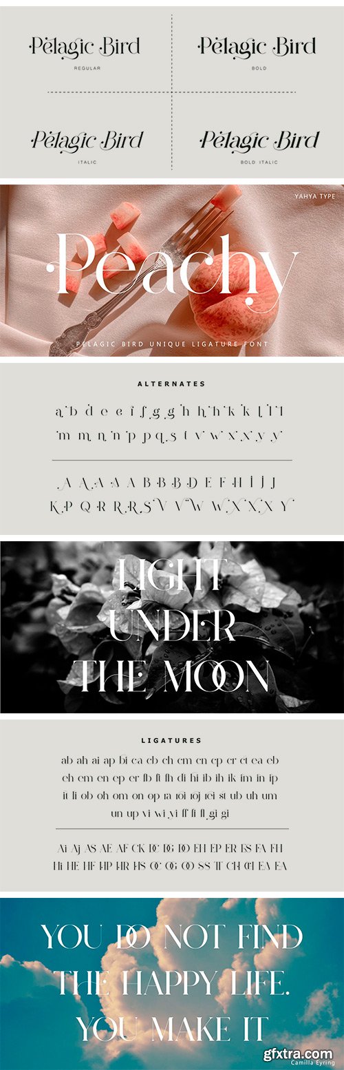 Pelagic Bird Font Family Pelagic Bird Font Family