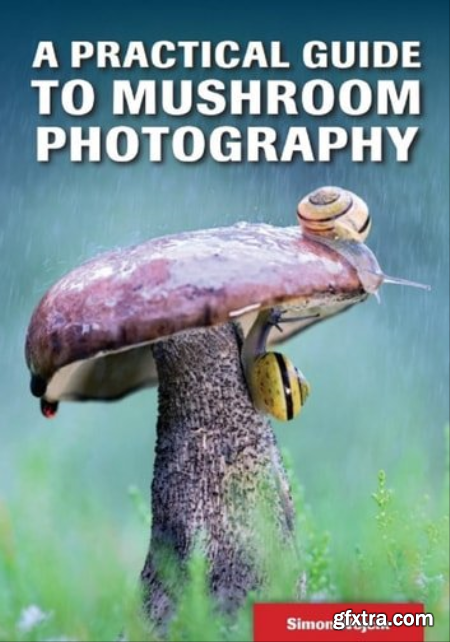 A Practical Guide to Mushroom Photography