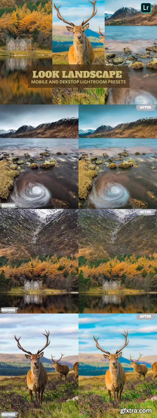 Look Landscape Lightroom Presets Dekstop Mobile lr