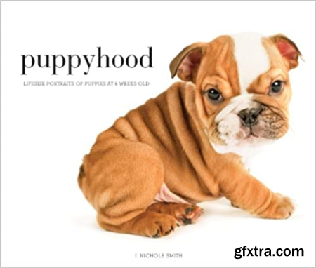 Puppyhood Life-size Portraits of Puppies at 6 Weeks Old