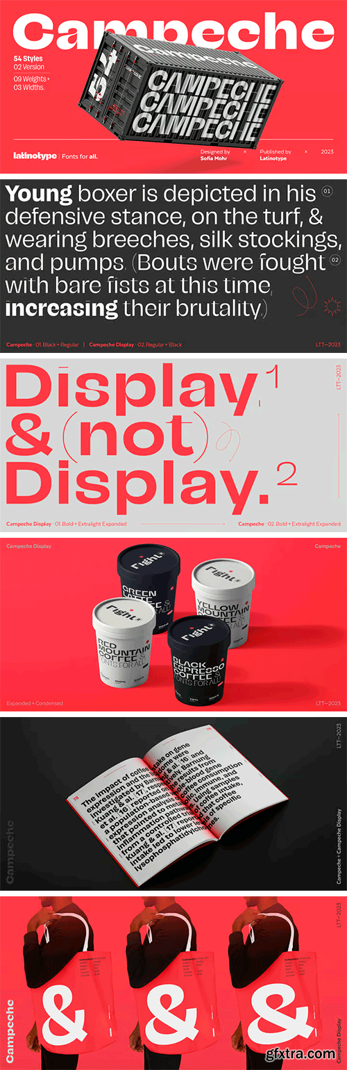 Campeche Font Family Campeche Font Family