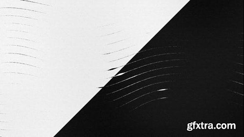 Videohive Fluid Lines Logo Reveal 44029589 Videohive Fluid Lines Logo Reveal 44029589