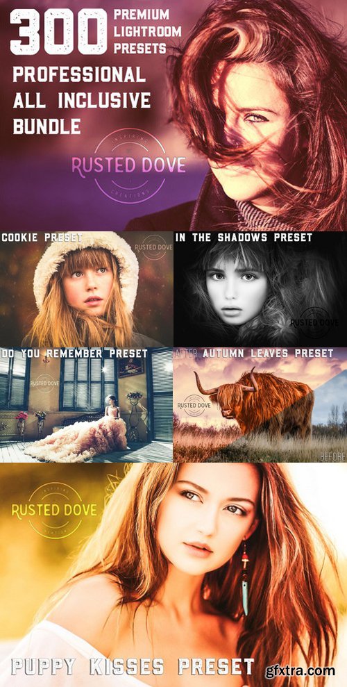 300 Professional Lightroom Presets