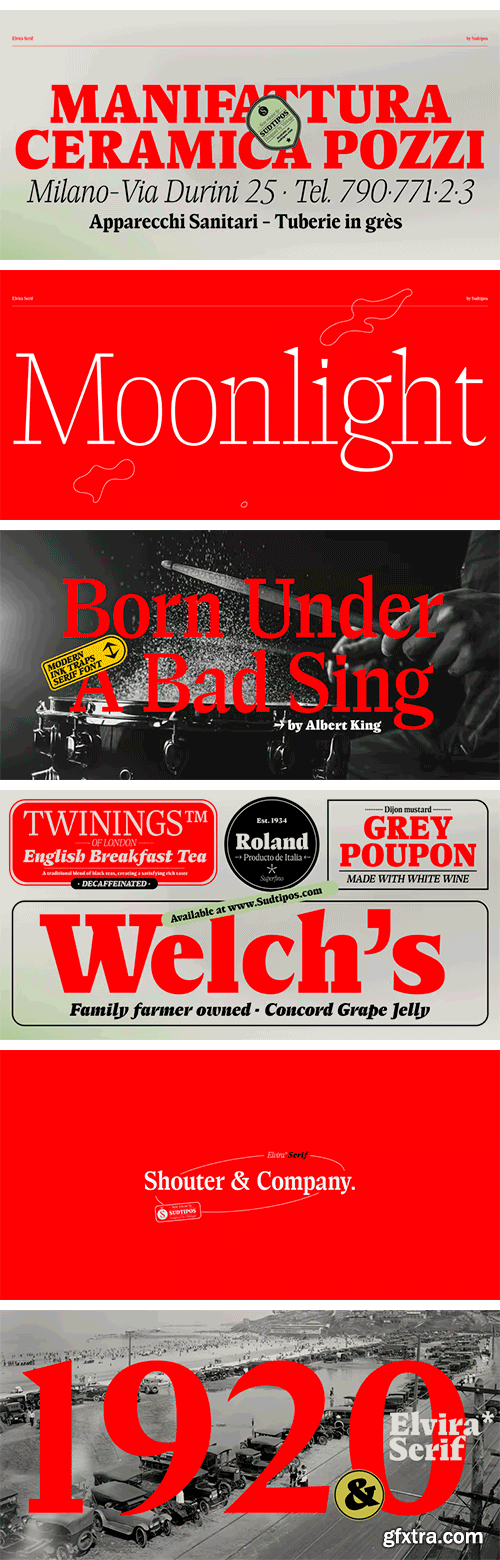 Elvira Serif Font Family Elvira Serif Font Family