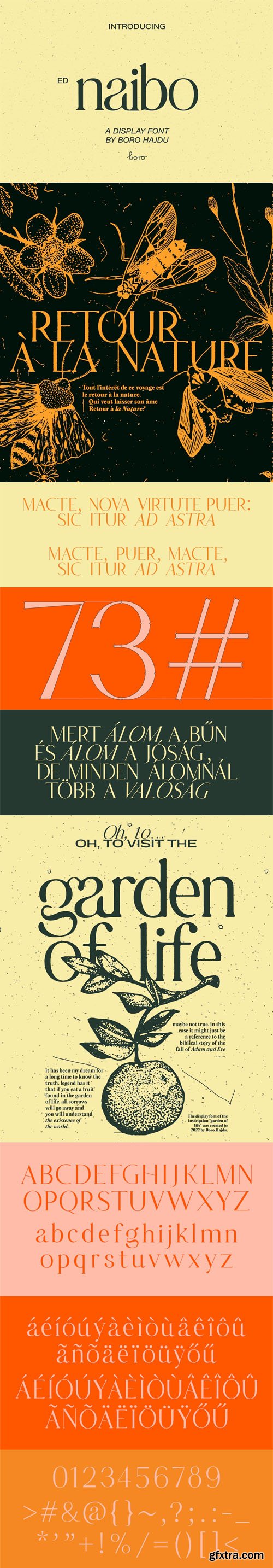 Naibo - Unique Display Serif Font Naibo - Unique Display Serif Font