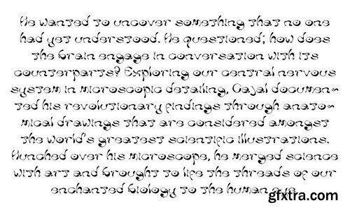 Ladi - Typeface Ladi - Typeface