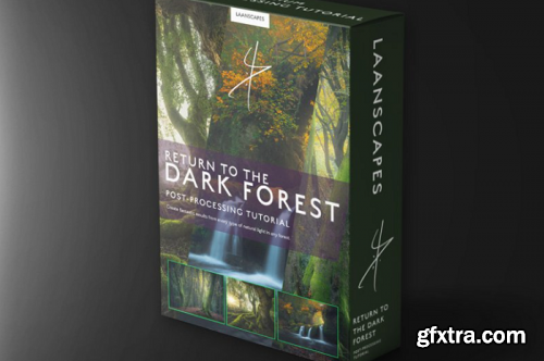 Daniel Laan Photography - The Dark Forest