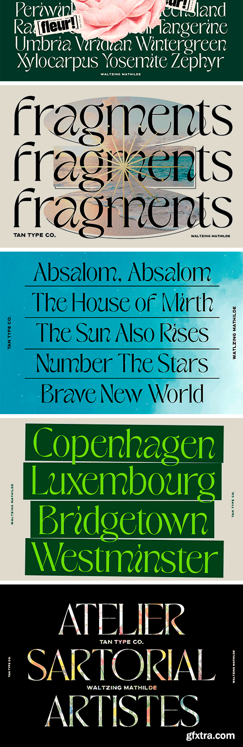 TAN - WALTZING MATHILDE TAN - WALTZING MATHILDE