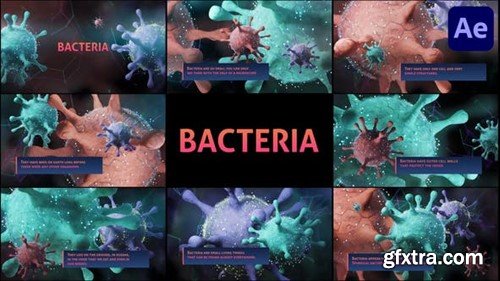 Videohive Bacteria for After Effects 44312858
