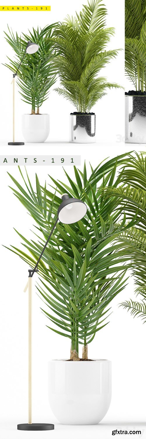 Pro 3DSky - PLANTS 191