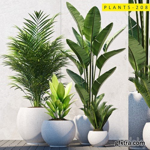 Pro 3DSky - Plants 208