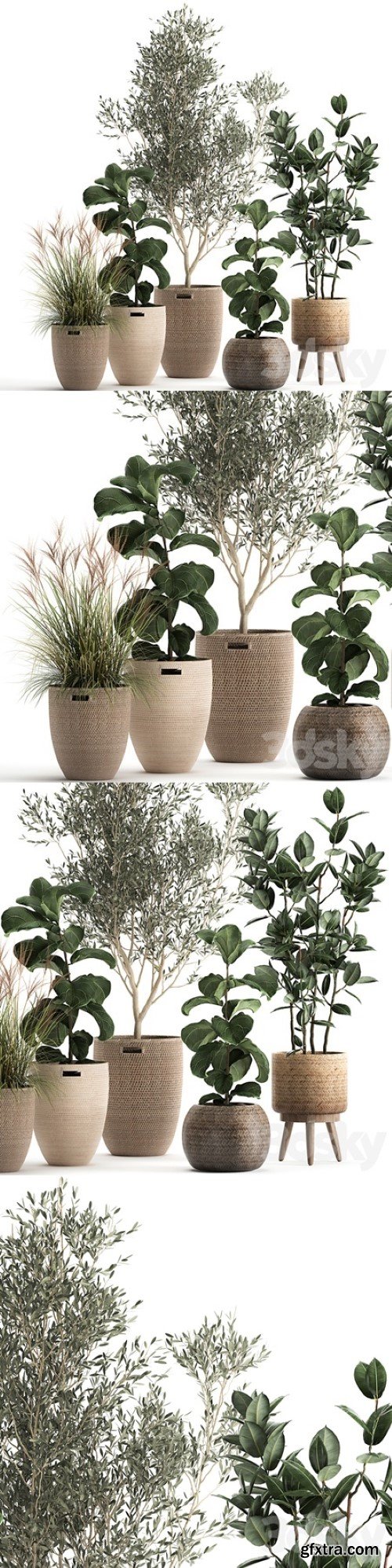 Pro 3DSky -  Plant collection 972. Olive, basket, rattan, tree, reed, flowerpot, eco design, Scandinavian style