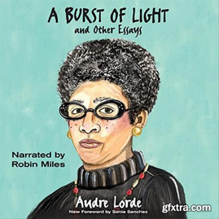 A Burst of Light And Other Essays (Audiobook)