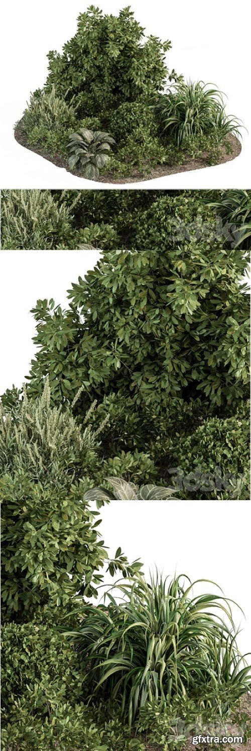 Pro 3DSky - Garden set ivy and Bush – Garden Set 20