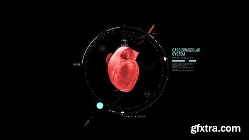 Videohive HUD Heart Chambers 44587954 Videohive HUD Heart Chambers 44587954