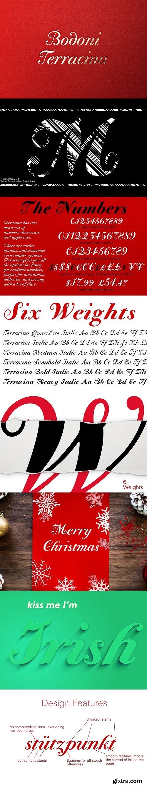 Bodoni Terracina Full Family 6 Fonts