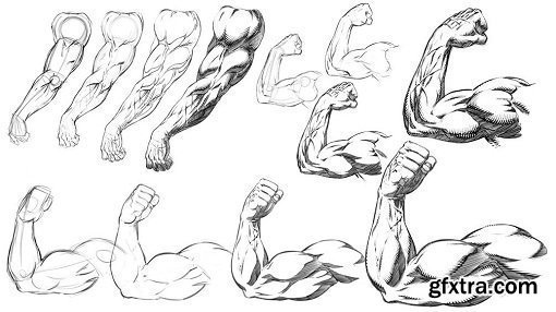 How to Draw and Shade Comic Book Style Arms and Anatomy