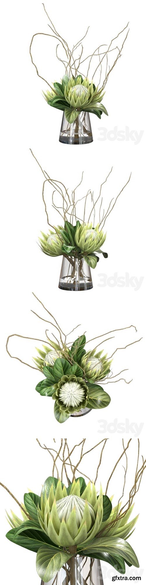 Pro 3DSky - Green bouquet with protea