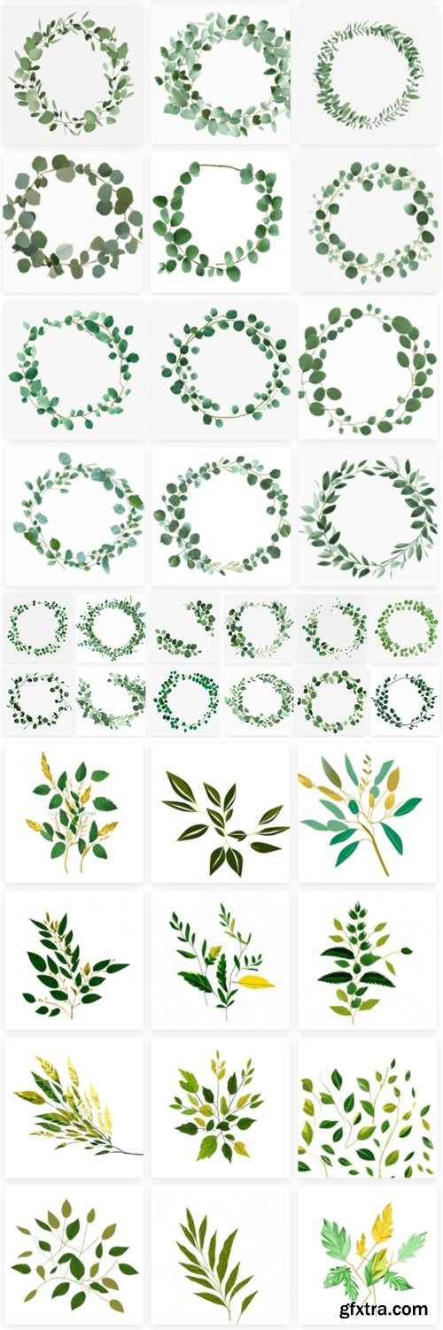 Eucalyptus Leaves PNG Collection Eucalyptus Leaves PNG Collection