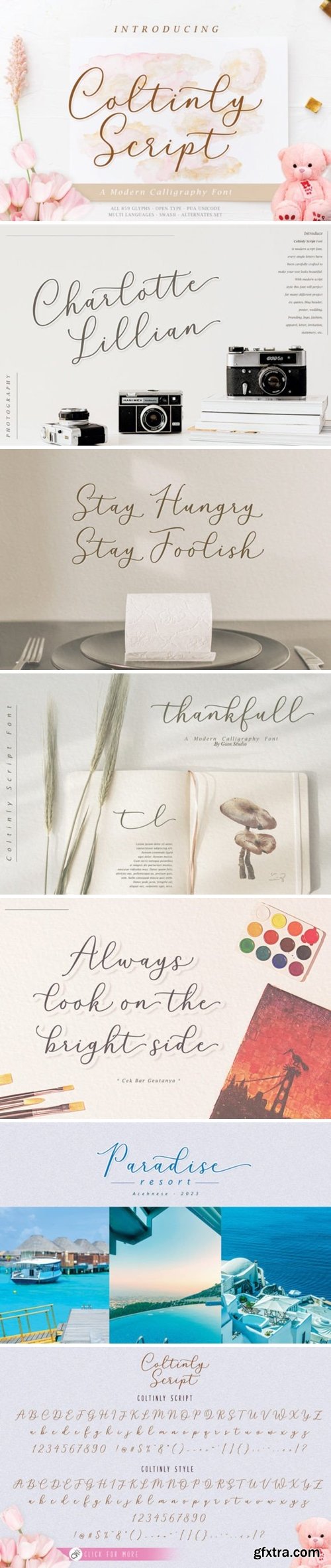 Coltinly Script Font