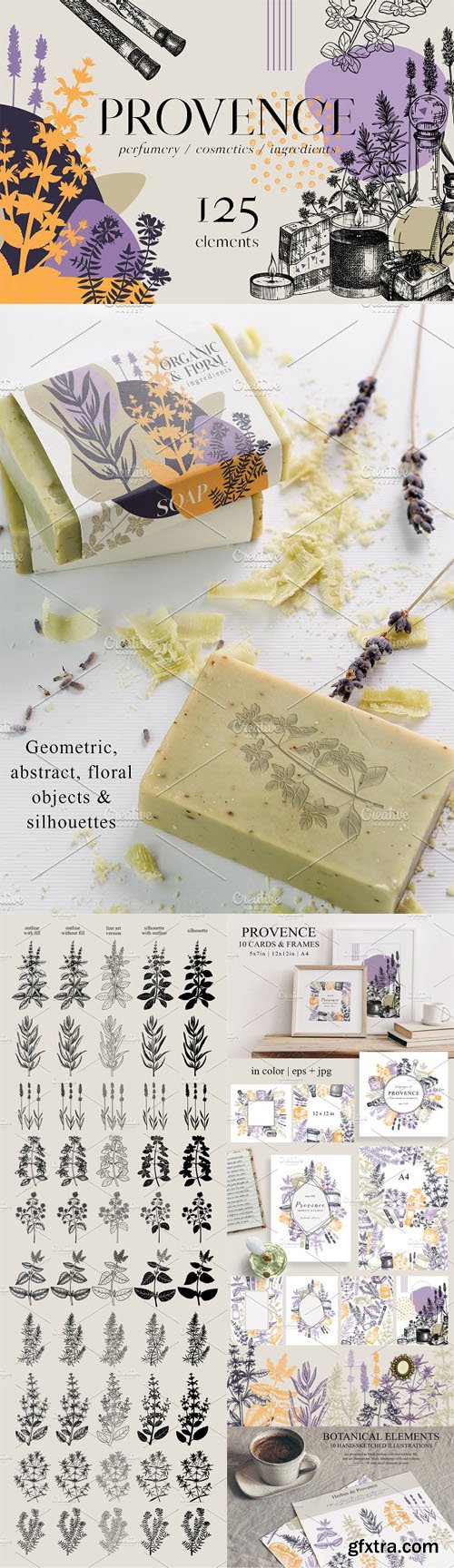 Herbs of Provence - Vector Elements +PNG