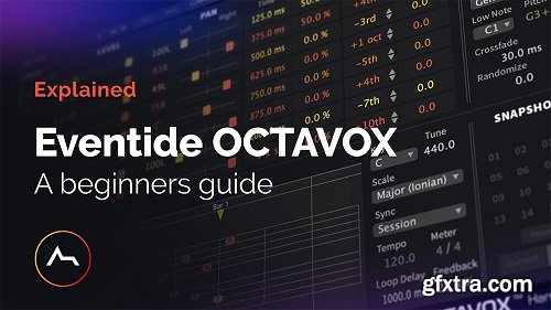 ADSR Courses Eventide Octavox Beginners Guide