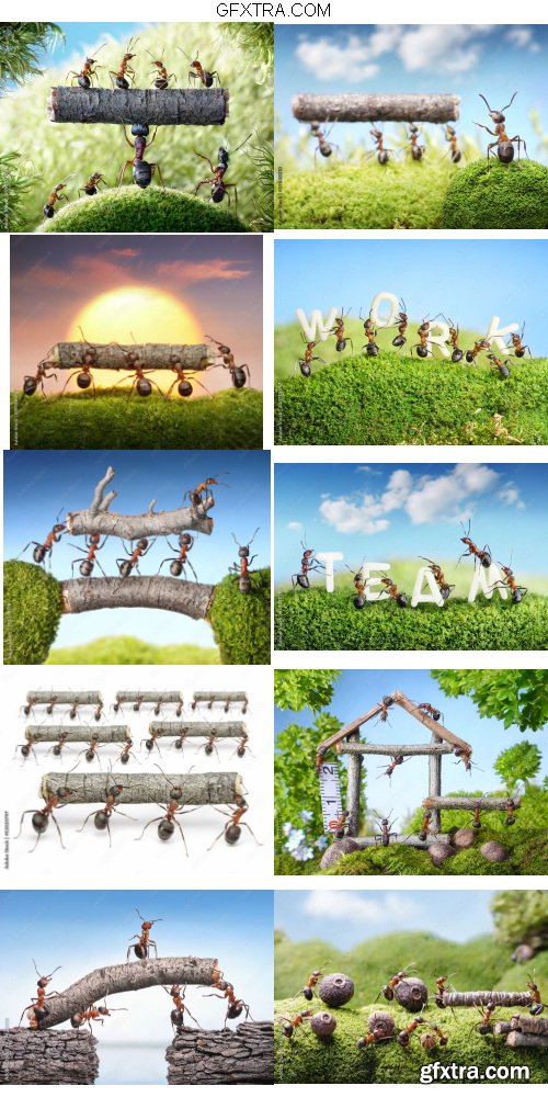 Concept of Animals Pack 3 - 7xJPG